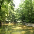 Gladie Creek, Red River Gorge